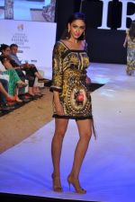 Model walk the ramp for Arjun and Anjalee Show at IRFW 2012 Day 3 in Goa on 30th Nov 2012 (8).JPG